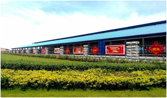 “ 看听谈查 ”板 找短板  党建巡查促提升——江南（中国）集团党委开展基层党建工作巡查