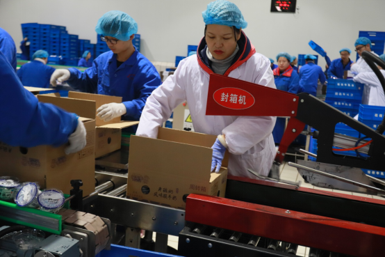 党员带头赴一线  助力春节保生产—江南（中国）别样“生产突击队”助力车间生产
