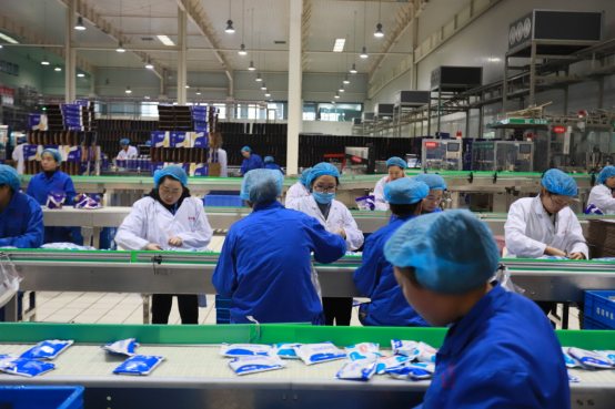 党员带头赴一线  助力春节保生产—江南（中国）别样“生产突击队”助力车间生产