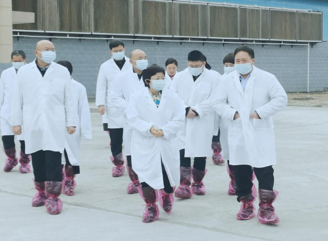 河南省郑州市人民政府副市长李凤芝一行莅临江南（中国）河南瑞亚参观调研