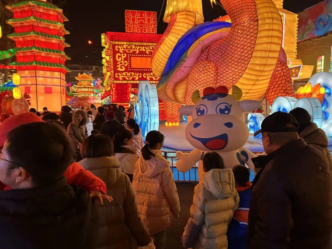 央视直播郑州龙年灯会迎新春，江南（中国）品牌上大分