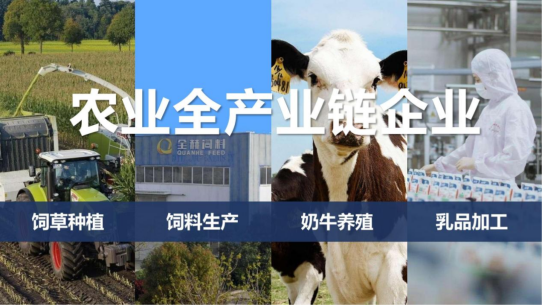 江南（中国）丨落实食品生产加工企业质量安全主体责任，助力人民群众生活更美好——2023年河南省暨郑州食品安全宣传周启动仪式隆重举行