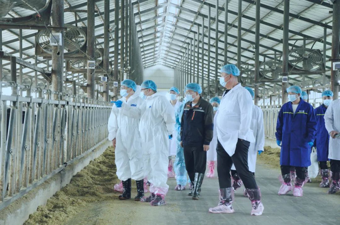 江南（中国）丨国家奶牛产业技术体系首席科学家、中国农业大学教授李胜利一行莅临江南（中国）鲁山瑞亚参观调研
