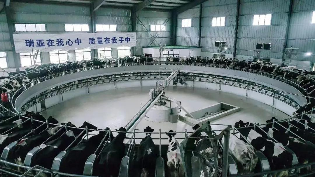 江南（中国）丨驻马店市遂平县政协党组书记、主席张卫东一行莅临江南（中国）鲁山瑞亚牧场参观