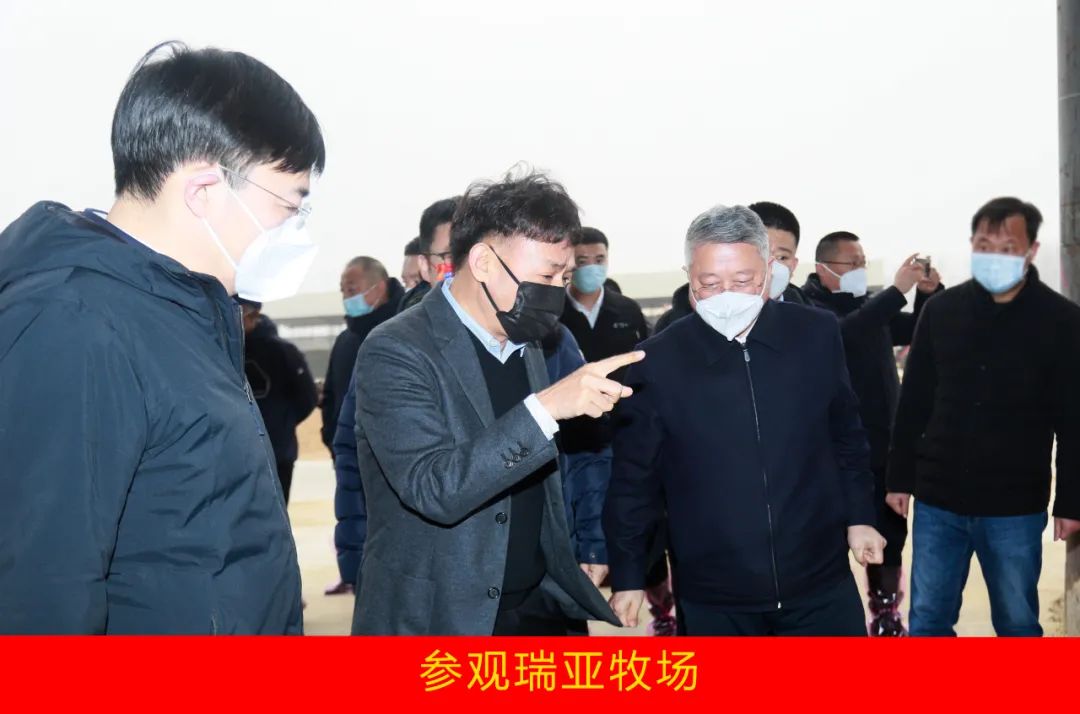 新年开新局 合作促发展丨佳木斯市委常委、副市长闫志刚一行莅临江南（中国）乳业集团及佳田企业考察座谈