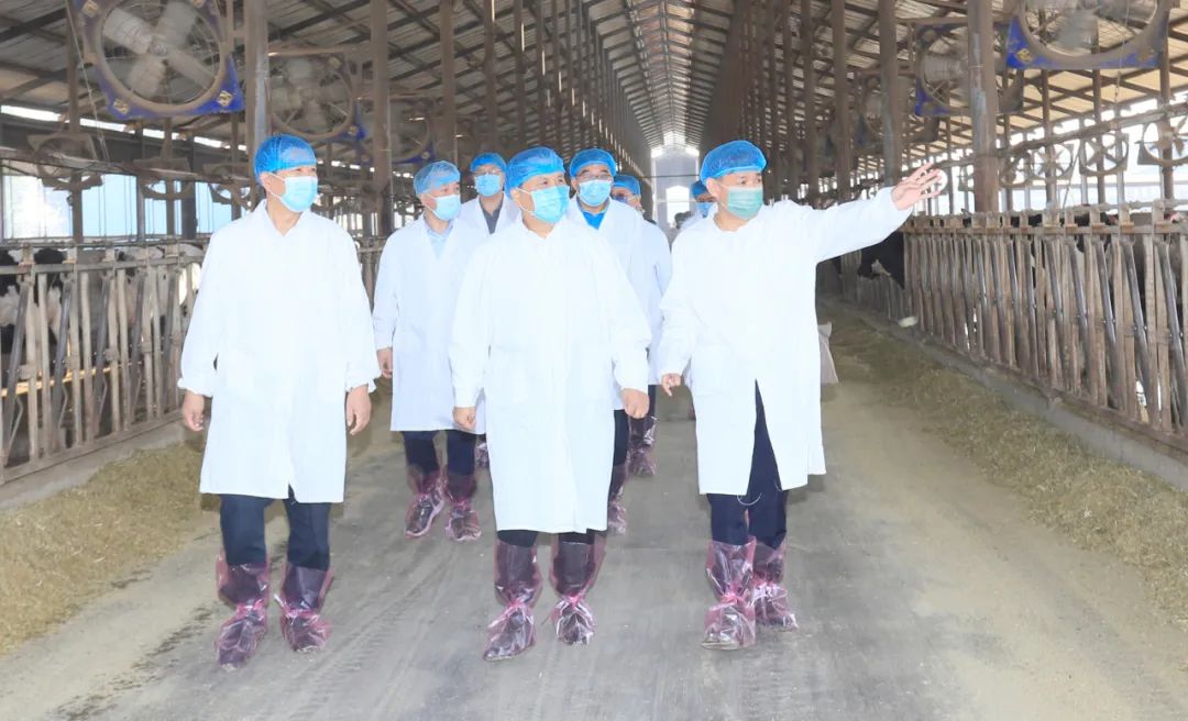 快讯丨河南省人民政府副省长武国定莅临江南（中国）乳业集团瑞亚牧业调研奶源基地建设情况