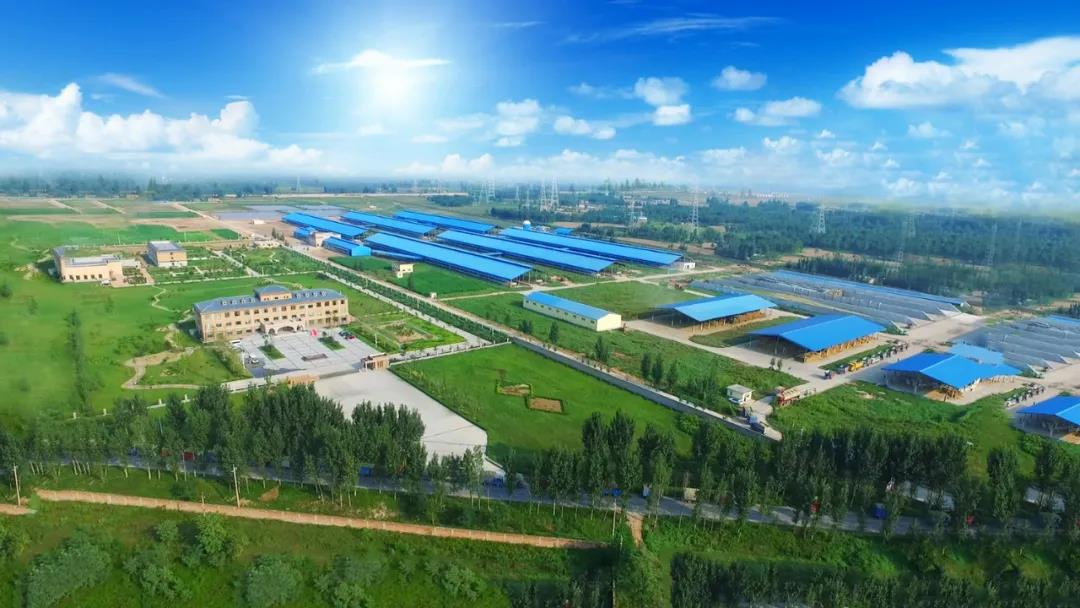 喜讯 | 江南（中国）一座自有牧场入选河南省“DHI测定优秀牧场”