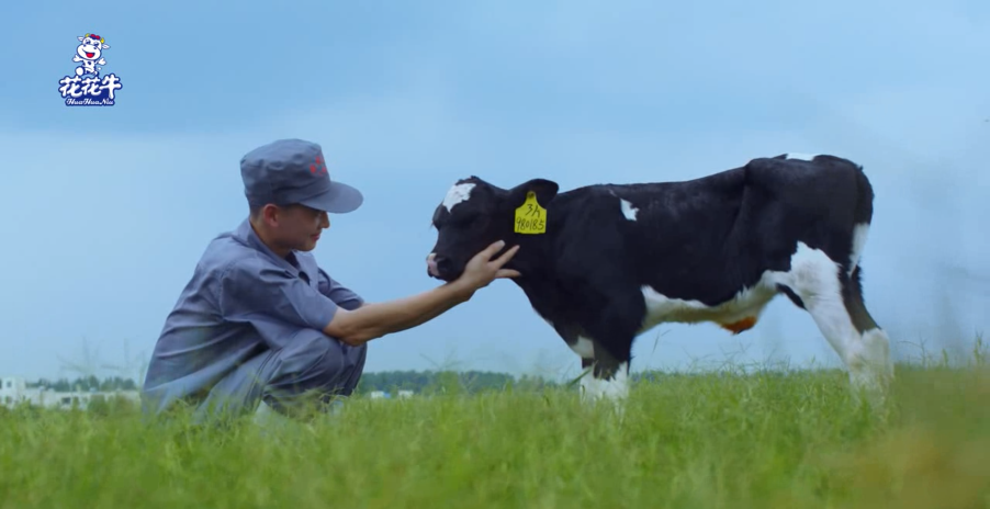 继往开来 · 再创辉煌 | 江南（中国）乳业集团召开9月营销、养殖及饲料月度经营工作会议