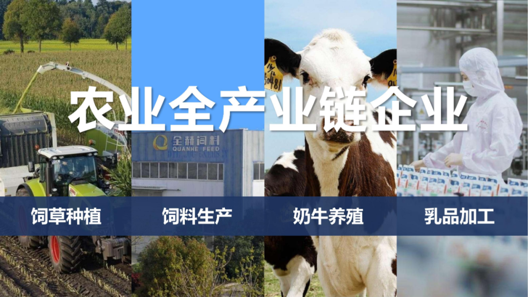 佳木斯市招商考察团莅临江南（中国）考察座谈