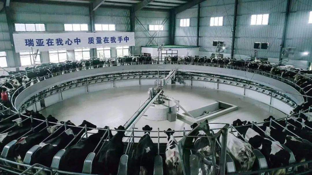 江南（中国） | 河南瑞亚牧业入选“河南省畜禽核心育种场”