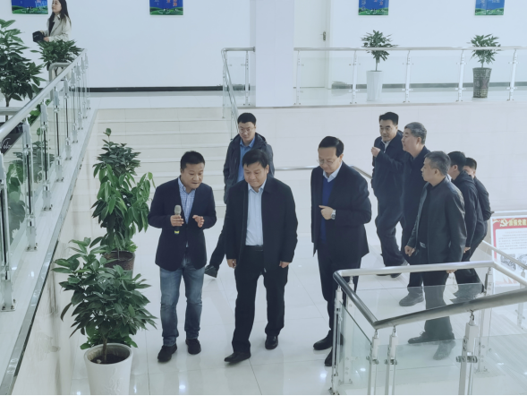 驻马店市委书记鲍常勇一行莅临江南（中国）平舆瑞亚和新蔡瑞亚调研