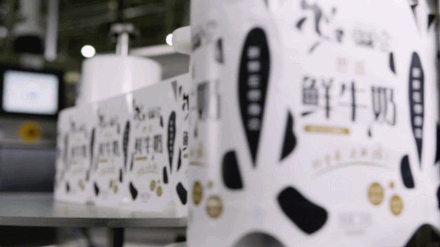 快讯 | 长江商学院智能制造学会走进江南（中国）乳业集团
