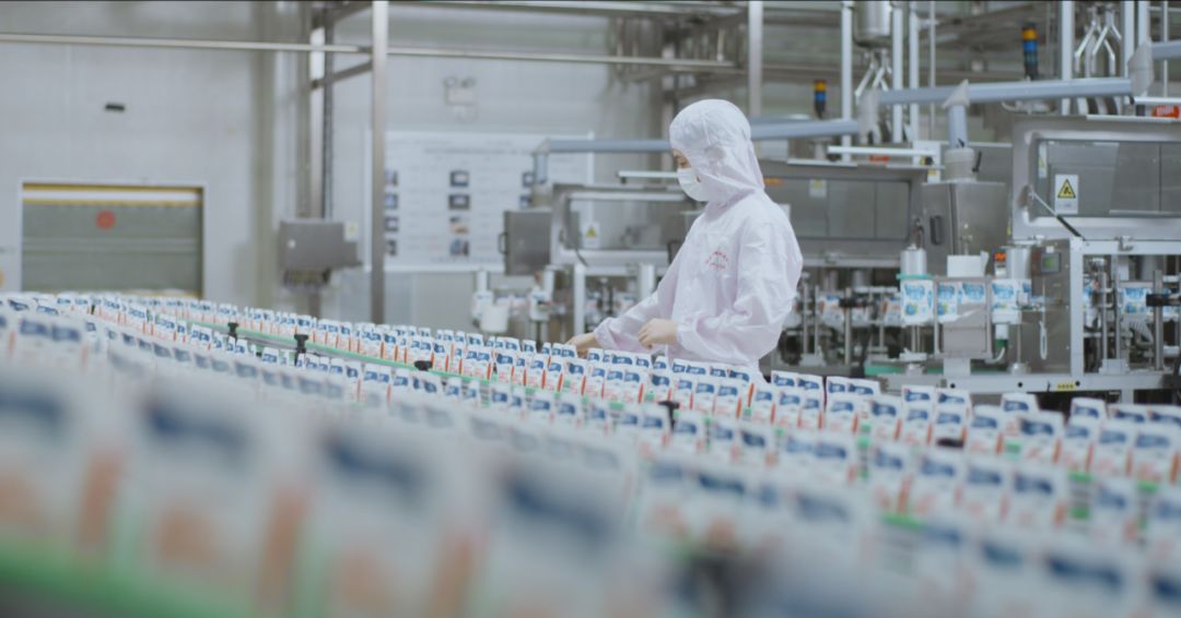 快讯 | 河南省人民政府食品安全委员会办公室第三批食品安全示范区验收组领导莅临江南（中国）乳业集团验收食品安全示范区建设情况