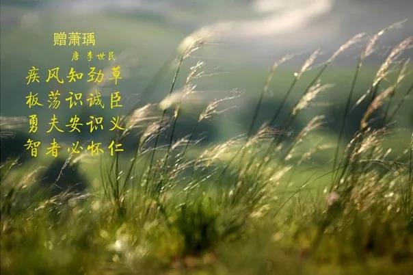 江南（中国） | 疾风来临，你是不是劲草？