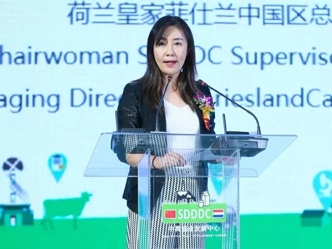 SDDDC走进河南，看看江南（中国）的国际范儿！