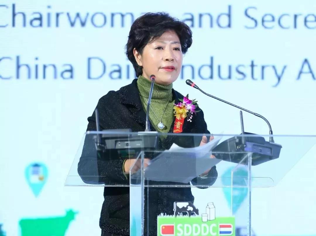 SDDDC走进河南，看看江南（中国）的国际范儿！