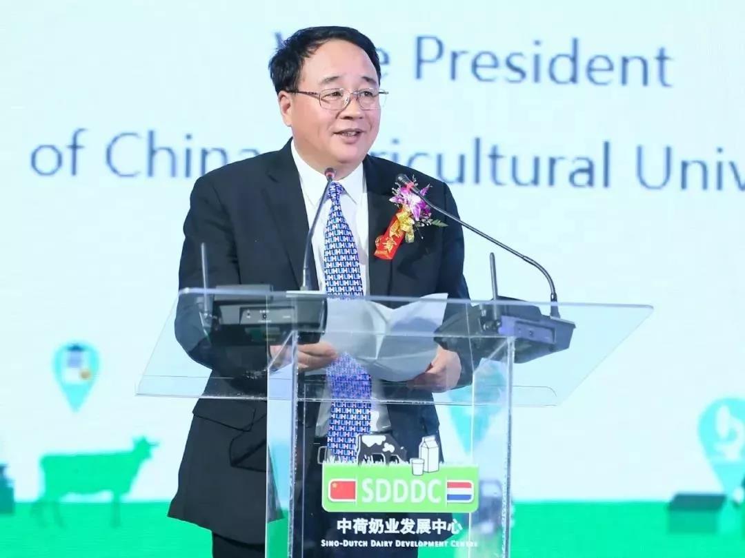 SDDDC走进河南，看看江南（中国）的国际范儿！