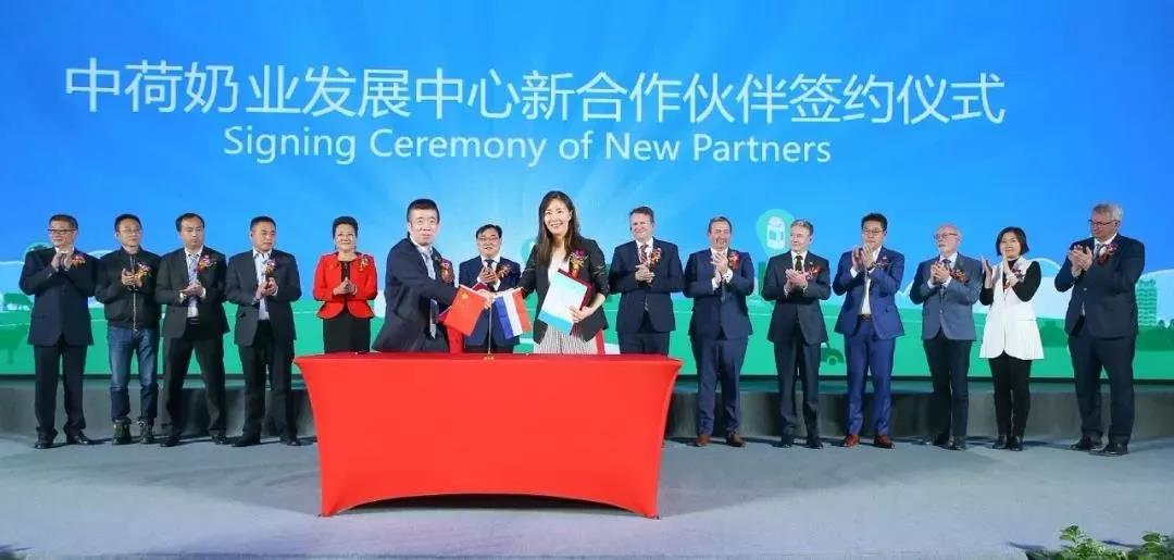 SDDDC走进河南，看看江南（中国）的国际范儿！