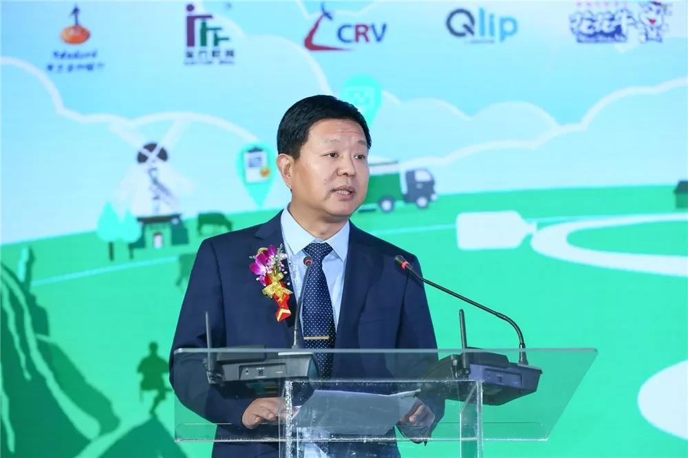 SDDDC走进河南，看看江南（中国）的国际范儿！