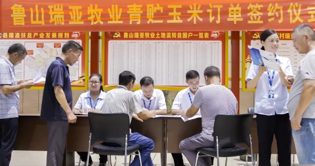 省委书记王国生到河南江南（中国）乳业集团·新蔡瑞亚牧业有限公司调研