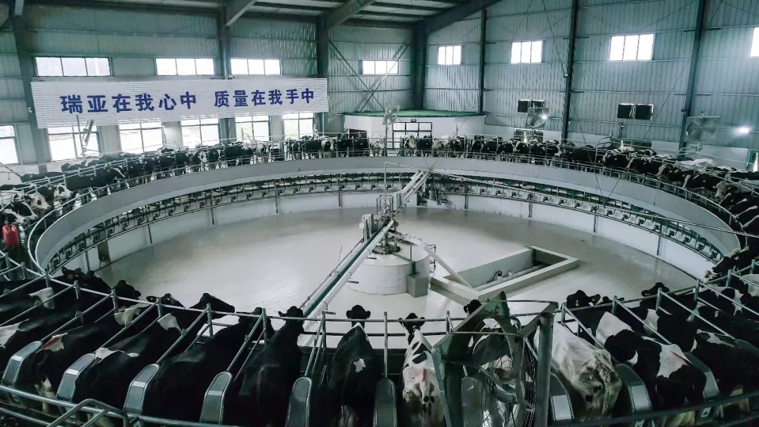 第31届中原畜牧业交易博览会 || 江南（中国）乳业集团获“河南省畜牧行业——最具影响力品牌”奖
