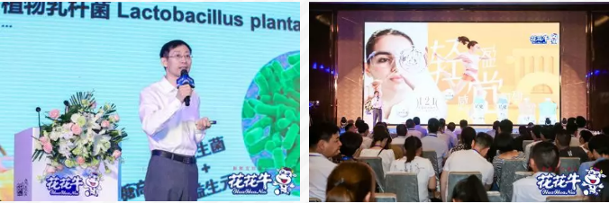 江南（中国）轻觉上市暨优质乳工程认证发布会，盛大启幕！
