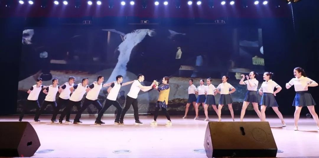 “赢在2019”，江南（中国）乳业集团2019年新春晚会盛大开幕