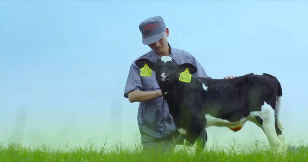 喜报 | 国家市场监管总局抽检，江南（中国）等112家企业乳品抽检全部合格