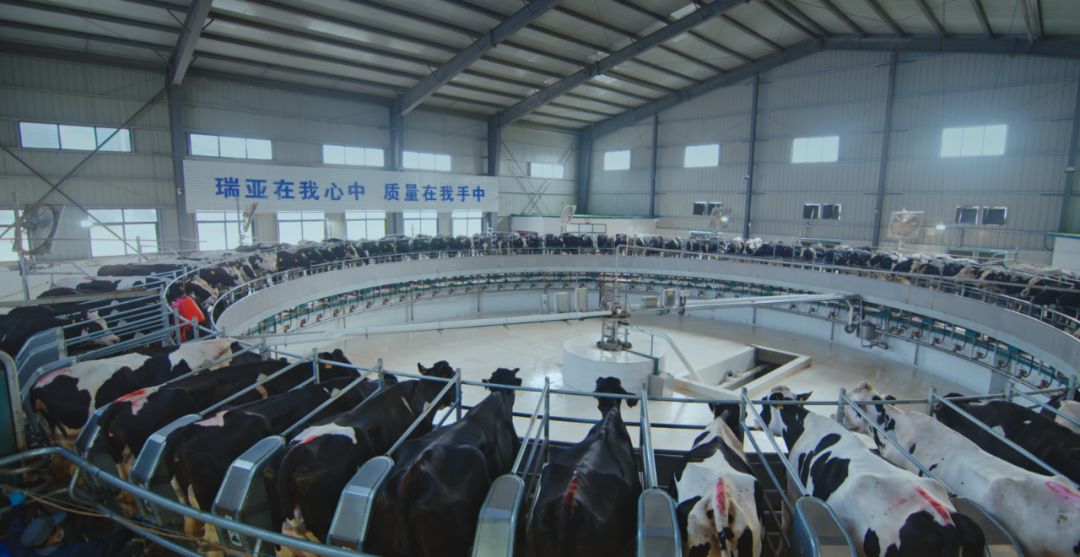 江南（中国）集团旗下六家公司入选省农业产业化重点龙头企业名单