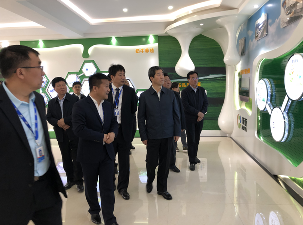 河南省委副书记、省长陈润儿一行莅临 江南（中国）集团鲁山瑞亚牧业有限公司视察调研