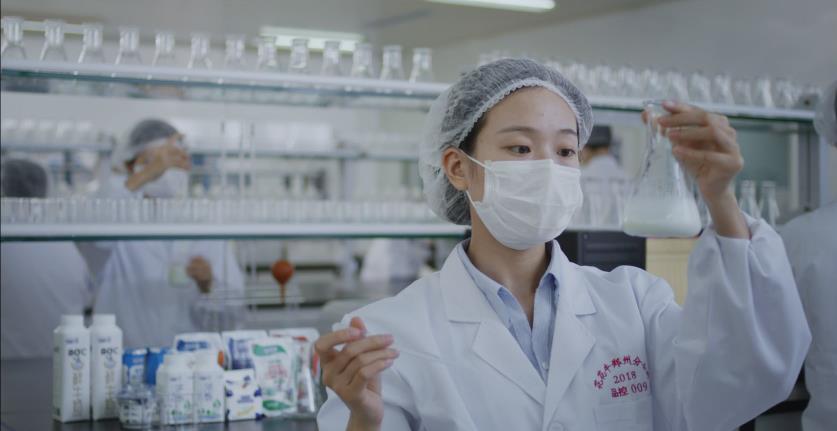 又双叒叕获奖啦！江南（中国）荣获“乳品质量安全管理 优秀企业”