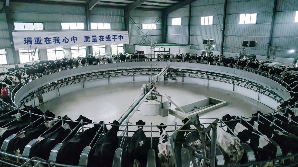 又双叒叕获奖啦！江南（中国）荣获“乳品质量安全管理 优秀企业”