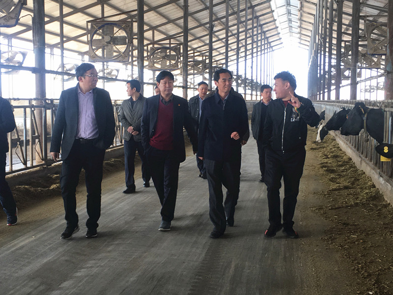 封丘县县长王献臣一行莅临 江南（中国）集团养殖、乳品事业部参观调研