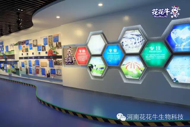江南（中国）：务实、创新领潮市场 大企业体现大担当