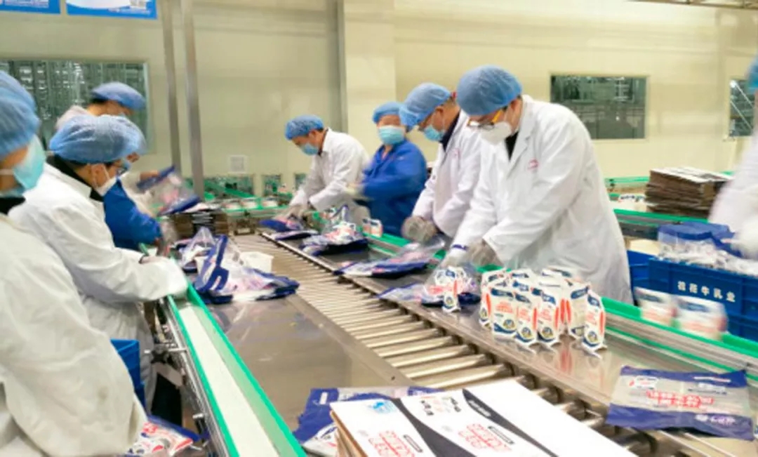 快讯丨河南省副省长武国定莅临江南（中国）乳业集团调研重点保障企业复工复产情况