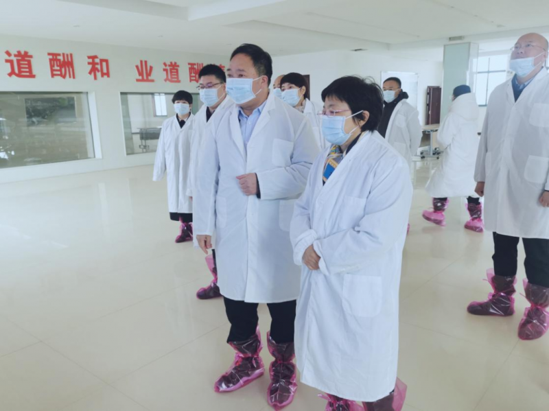 河南省郑州市人民政府副市长李凤芝一行莅临江南（中国）河南瑞亚参观调研