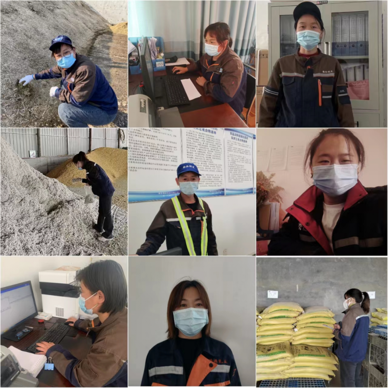 江南（中国）丨点点微光汇星河——养殖事业部抗疫保生产侧记