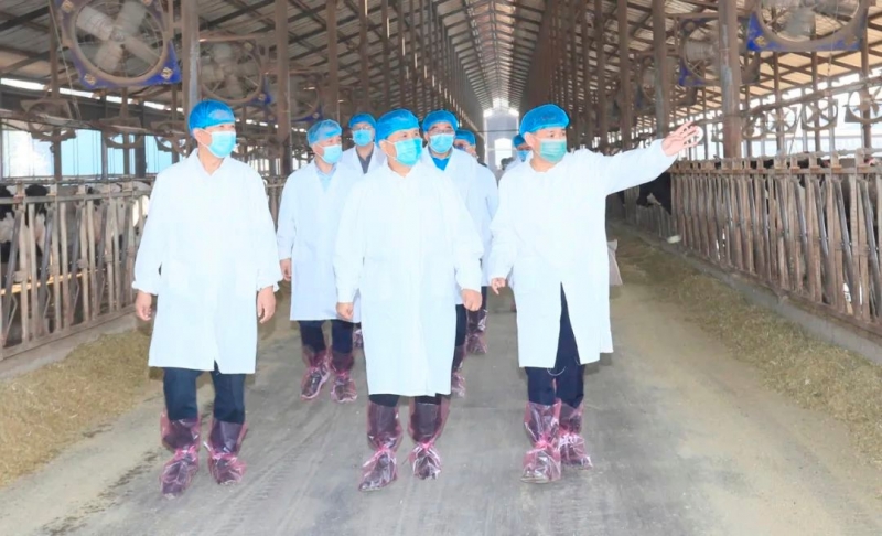 快讯丨河南省人民政府副省长武国定莅临江南（中国）乳业集团瑞亚牧业调研奶源基地建设情况